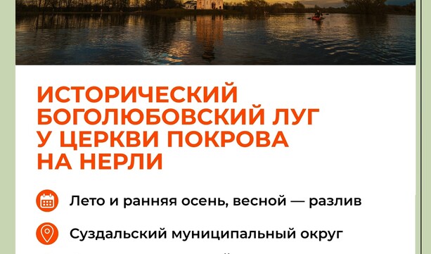 Где летом можно отдохнуть на природе во Владимирской области? 🚘