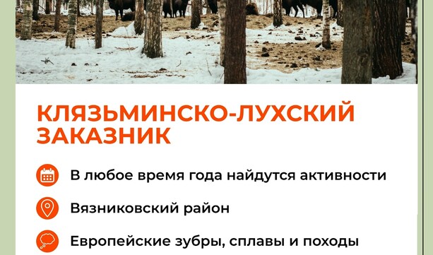 Где летом можно отдохнуть на природе во Владимирской области? 🚘