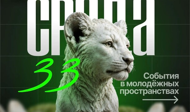 «Молодёжная Среда 33»: чем жили молодёжные пространства Владимирской области?
