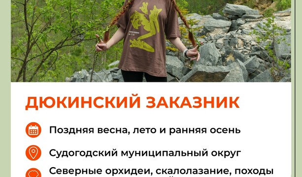 Где летом можно отдохнуть на природе во Владимирской области? 🚘